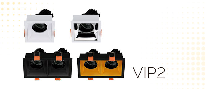 VIP2