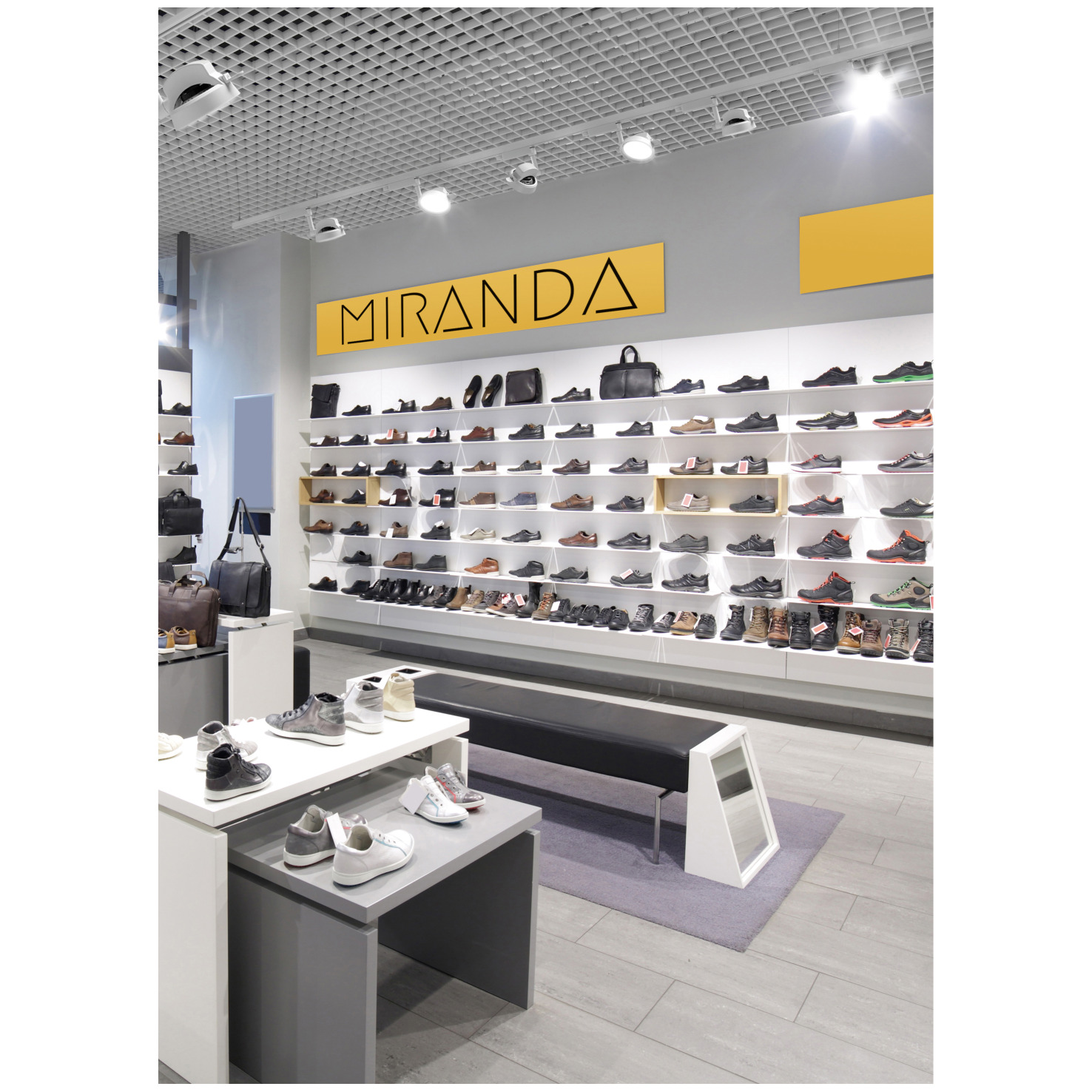 Proyector carril Miranda M