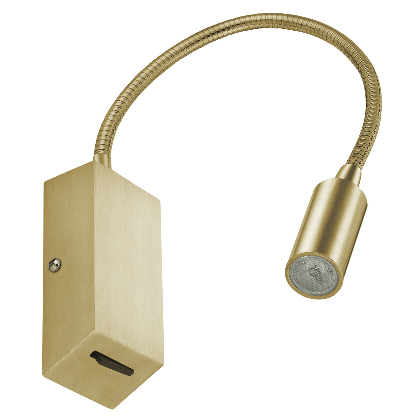 Aplique lector Leiden